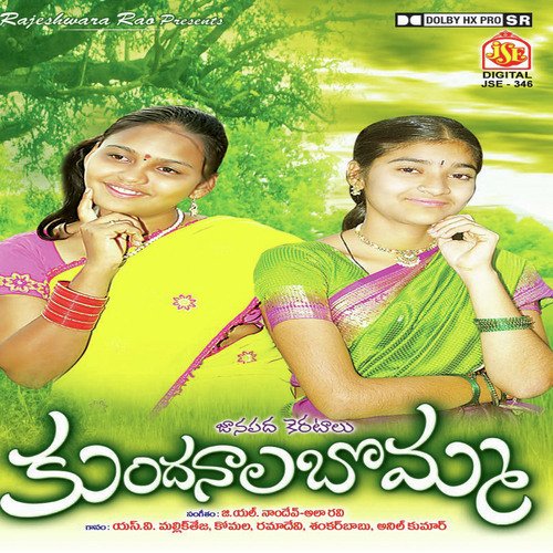 Puta Gadavalani - Various Artists