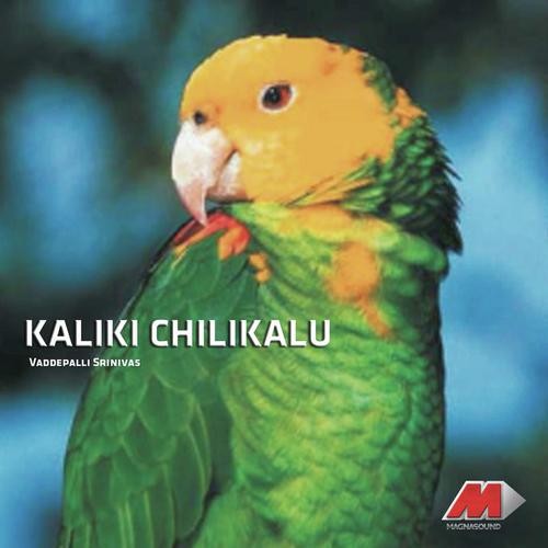 Ringu Jaana - Vaddepalli Srinivas