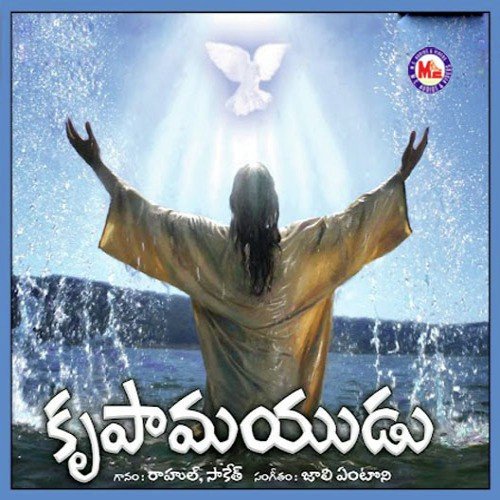 Vedithini Krupa - Various Artists