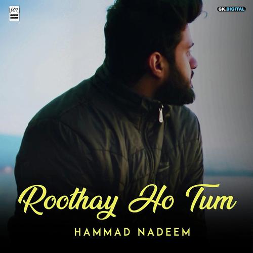 Roothay Ho Tum - Hammad Nadeem