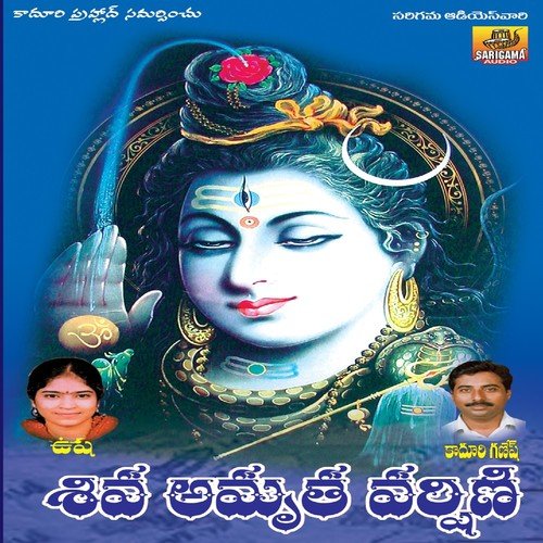 Hima Giri Paina Velasinavvu (Shiva Amrutha Varshini) - Singer Usha