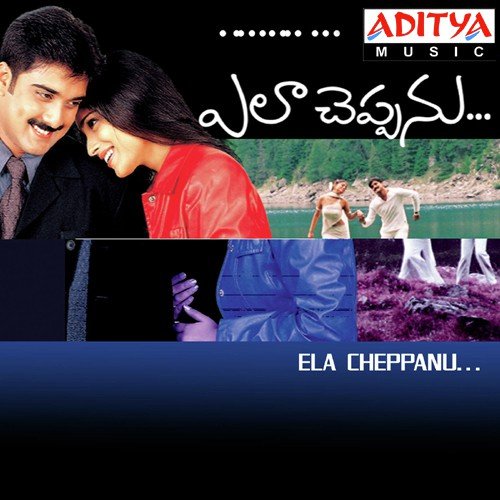 Meghala Pallakilona - Koti
