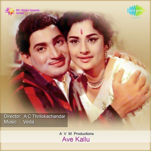 Maavoollo Oka Paduchundhi - Veda