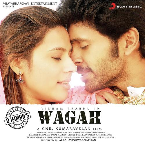 Aaniyae Pudunga Venandaa - D. Imman
