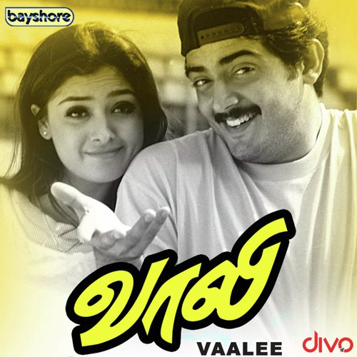 Vaanil Kaayuthae - Deva