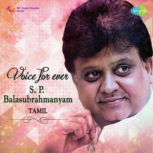 Sorgathile Mudivaanadhu (From Lalitha) - Various Artists