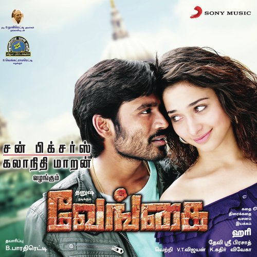 Pudikale Pudikudhu - Devi Sri Prasad