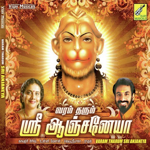Hanuman Harathi - Various Artists