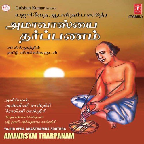 Amavasyai - Viseshakala,Tarpanam - Srihari