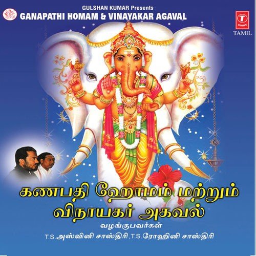 Ganapathy Homam  Poornahuthi - Srihari
