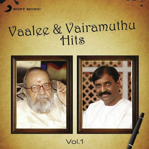 Veera (From Raavanan) - Various Artists