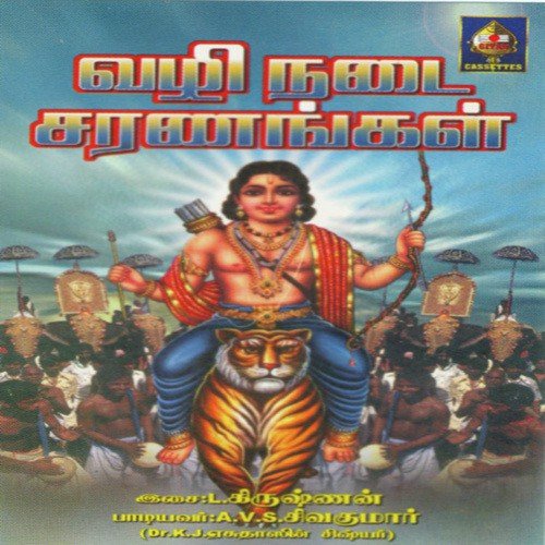 Aiyappaa Sharanam - A.V.S. Sivakumar