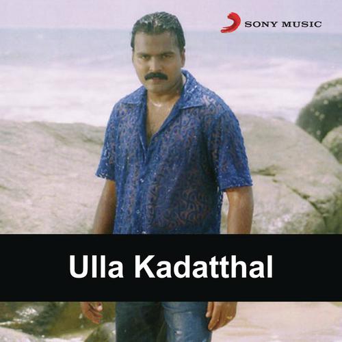 Pattaam Pattaam Poochigal - Bharadwaj