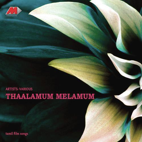 Shenbaga Poova (From Paasamalargal) - Various Artists