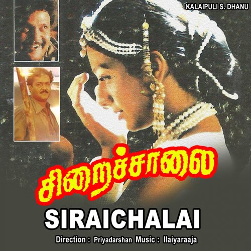Sembpoove Poove - Ilaiyaraaja