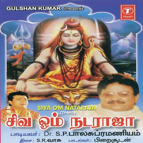 Paramanandham Sindhum - S. P. Balasubrahmanyam, S. Rajeswara Rao