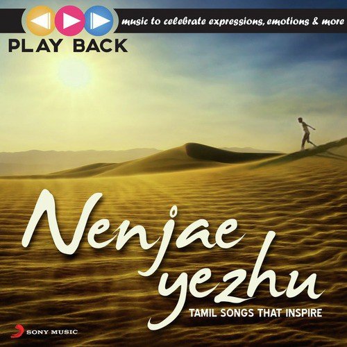 Thuppaki Engal Tholile (From Vishwaroopam) - Various Artists