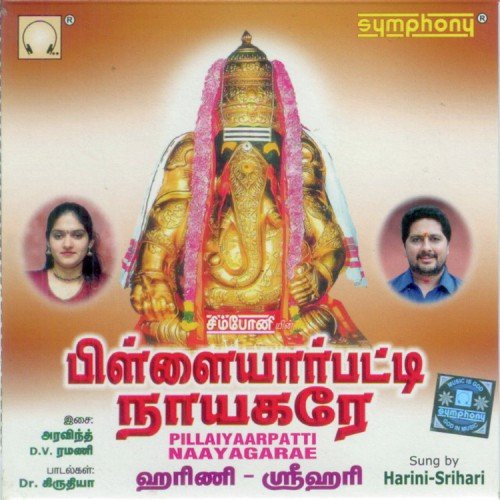 Naattukkottai Naayagamae - Various Artists