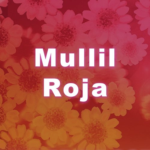 Maalu Maalu - Amuthabharathi