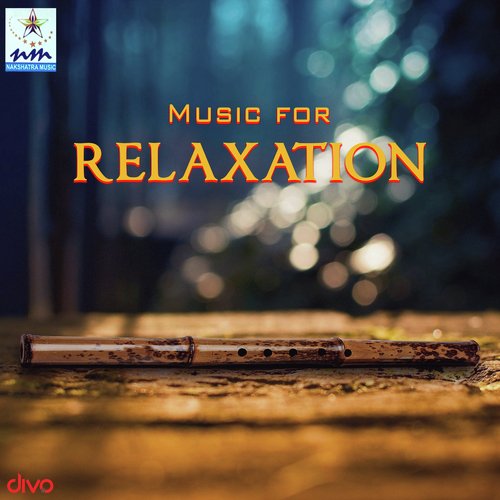 Soothing Sounds of Nature - U. Pramod, Nandu Gopalan, Thyagaraju, Praveen Mohan