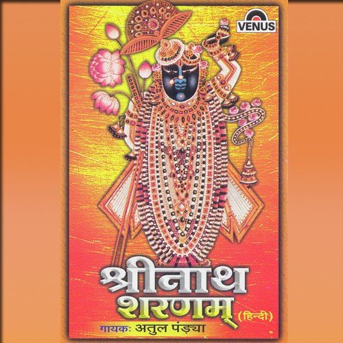 Jai Shrinath Hare (Aarti) - Atul Pandaya, Madhusudan Vaishnav