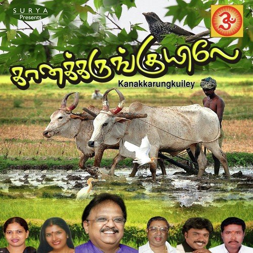 Vazhai Thoppu - S. P. Balasubrahmanyam, Manikka Vinayagam, Malathi, Anuradha Sriram