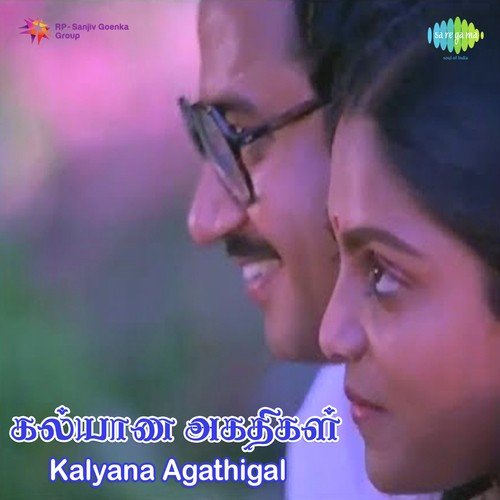 Kaanal Alaigalile - V.S. Narasimhan