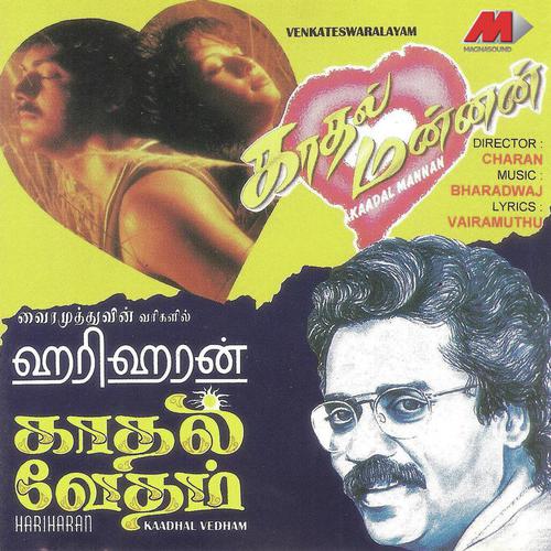 Malaiyum Nadhiyum - Bharadwaj