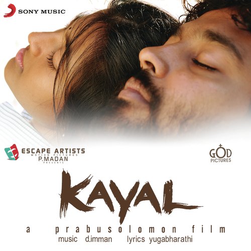 Yenga Pulla Irukka - D. Imman