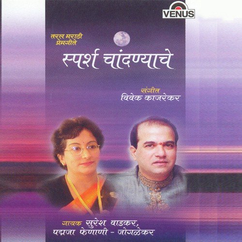Mohabbat Ho Gayee - Anand, Milind