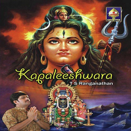 Namah Shiva Om Kapaleeshwara - T.S. Ranganathan