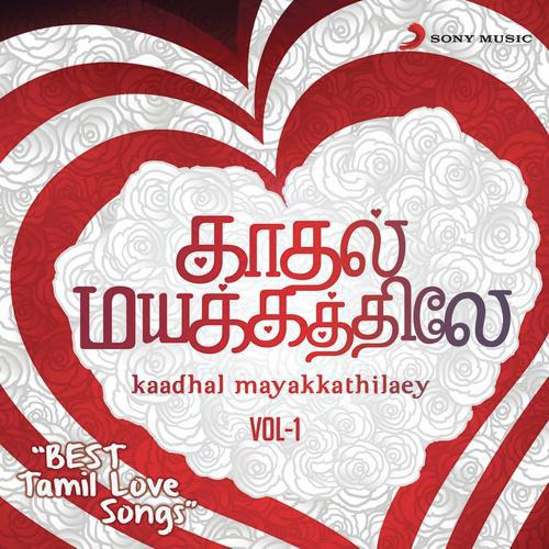 Mayam Seidhayo (From Velayudham) - Various Artists