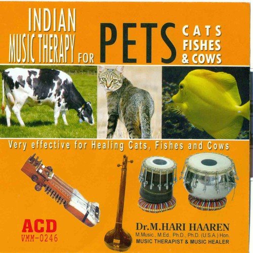 Instrumental Duet Mridangam  Tabla - Harre Harren