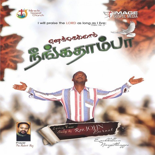 Nanmaiyayum - Robert Roy, John Bernat, Issac Anoiten