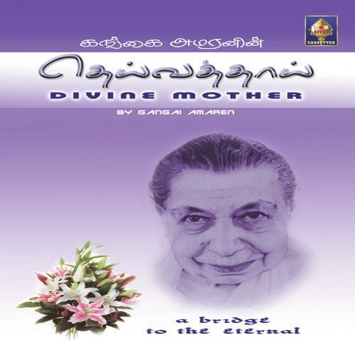 Neetaane Taaye - Various Artists