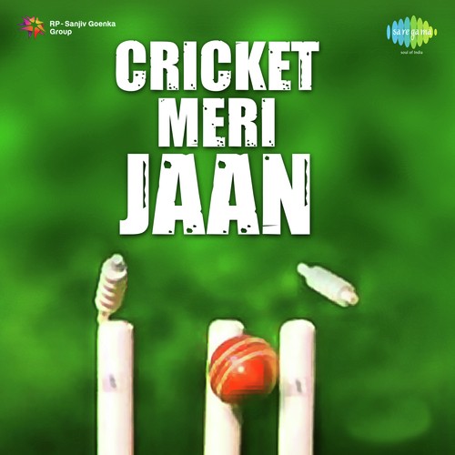 Kabhi Hoti Hai Jeet - S. P. Balasubrahmanyam