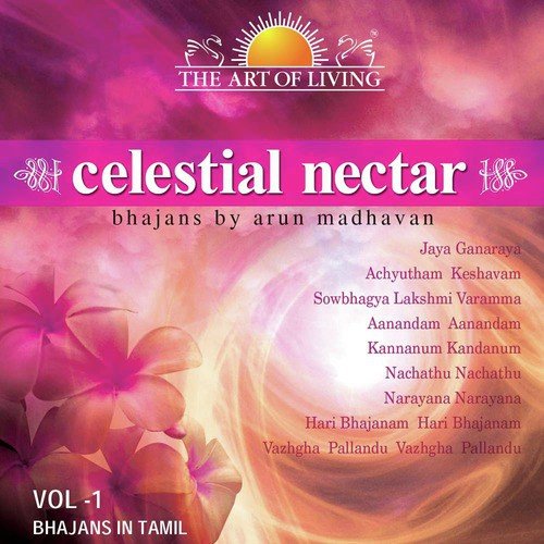 Narayana Narayana - Arun Madhavan