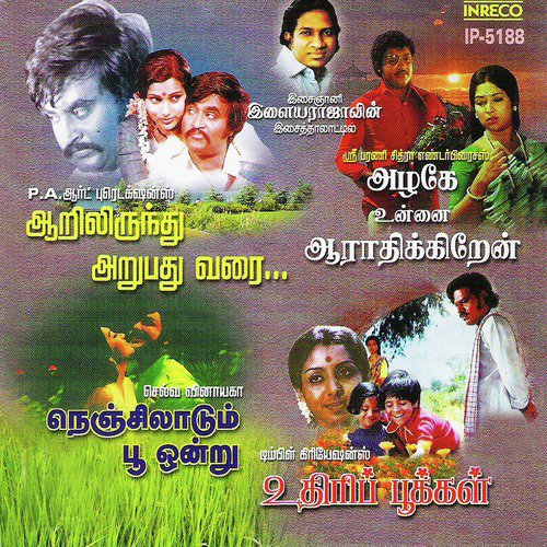 Azhagiya Kanne (From Uthiripookkal) - Ilaiyaraaja