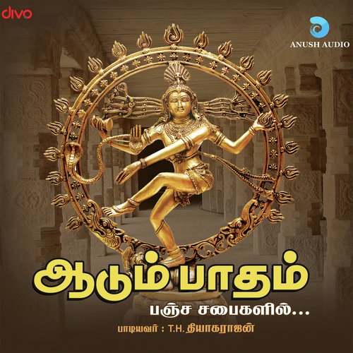 Vandaarkuzhali Ammai Naayagare - T.H.Thiyagarajan