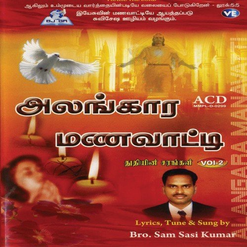 Kaariyaththai Vaaikkaseyyum - Various Artists