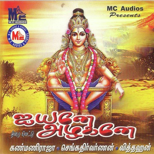 Pallikettu - Various Artists