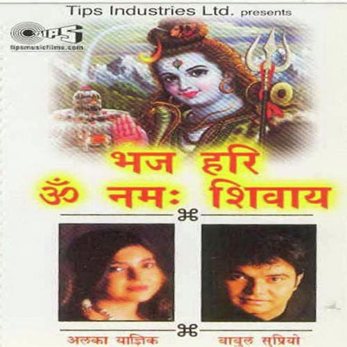 Om Namah Shivay Bhajan - Alka Yagnik, Babul Supriyo, Sandesh Shandilya
