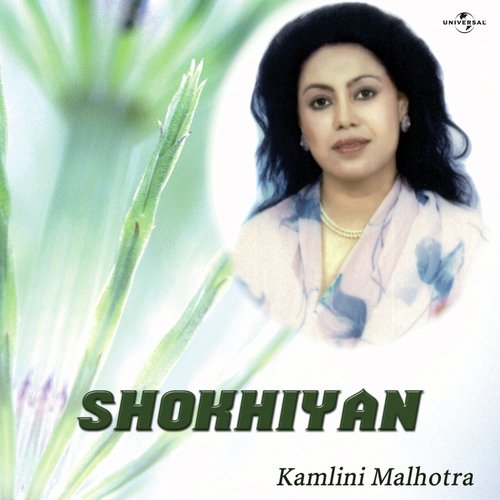 Teri Kahani Se Milti Nahin (Album Version) - Kamalini Malhotra