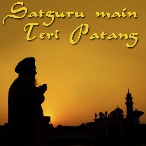 Satguru Main Teri - Various Artists