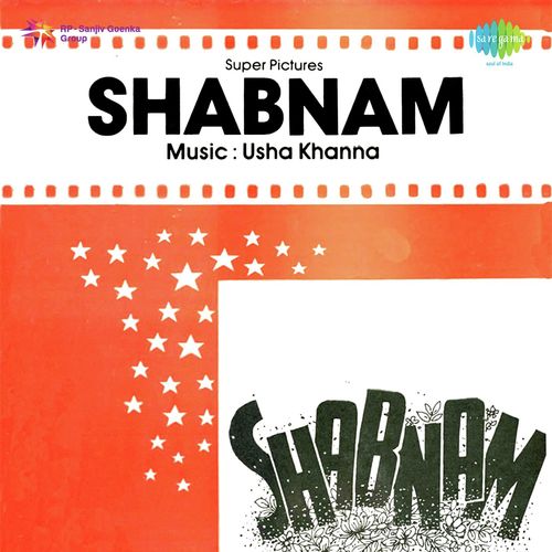 Shabnam Bhi Dekha Shola Bhi Dekha - Usha Khanna
