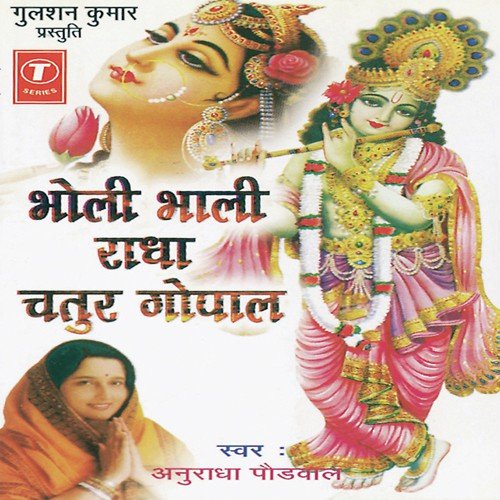 Jhulo Ki Rut Hai Aai - Anuradha Paudwal, Shailendra Bharti
