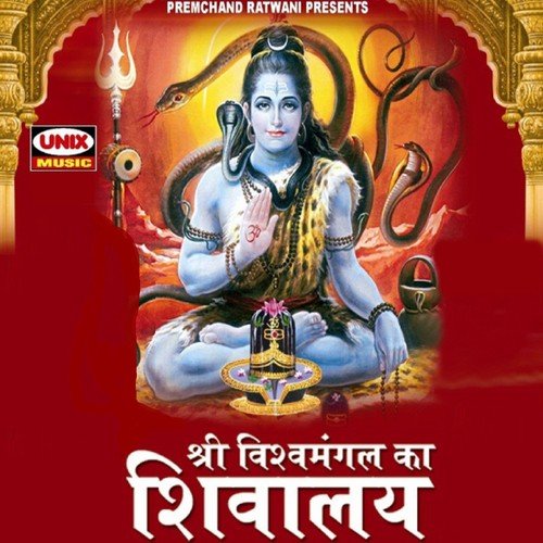Om Mahamritunjay Namha Shivaya - Various Artists