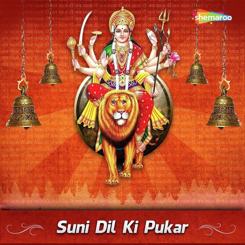 Maiya Aaja Tu Leke Avtar - Naresh