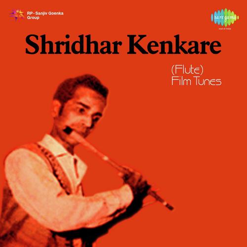 Mera Saaya Saath Hoga - Shridhar Kenkara