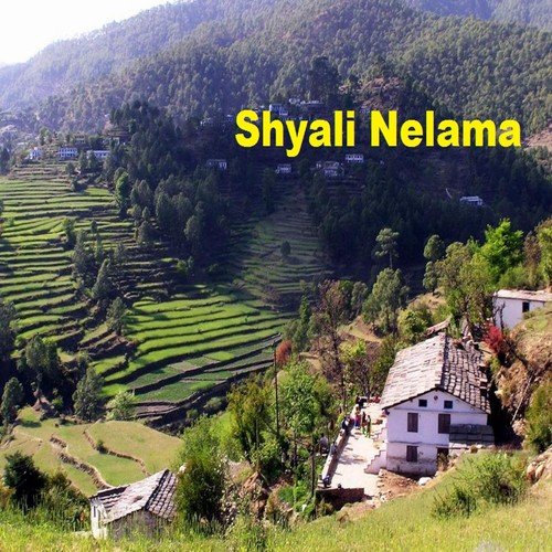 Munsyari Ku Himansu - Various Artists